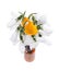 Bouquet of snowdrops and crocus on isolated