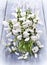 Bouquet of snowdrops flowers in a vase