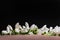 Bouquet of snowdrops lies In a craft envelope on a wooden background an unusual view from below, Galanthus nivalis close up macro