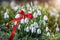 Bouquet of snowdrops tied with a red ribbon on the green grass. Martisor and Baba Marta