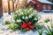 Bouquet of snowdrops is tied with a red ribbon and stands in the snow. Martisor and Baba Marta