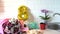 Bouquet of spring flowers and golden ballon 8 eight on kitchen table with gift box and breakfast. Light scandinavian style. Mother