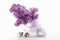 Bouquet of Spring Fresh Lilacs on Vase With Decorative Accessories. Against White.