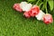 Bouquet of spring tulips on a green artificial grass.