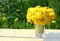 Bouquet of spring yellow dandelions
