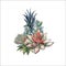 Bouquet of succulents. Flower arrangement for design. Watercolor. Graphics. Vector