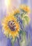 A bouquet of sunflowers on violet watercolor background