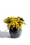 A bouquet of tansy flowers is in a stone mortar.