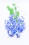 Bouquet of tender little forget-me-nots Myosotis