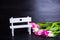 Bouquet of tender pink tulips with white bench on black wooden b