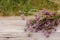 Bouquet of thyme flowers on old wooden board