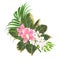 Bouquet with tropical flowers floral arrangement, with beautiful pink orchids cymbidium Ficus benjamina and ficus natural