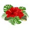 Bouquet with tropical flowers Hawaiian style floral arrangement, with beautiful hibiscus, palm,philodendron and ficus vintage vect