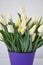 Bouquet with Tulip Snow Lady classic triumph white