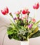 Bouquet of tulips, carnations and freesia, holiday symbol