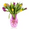 Bouquet tulips in fase
