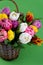 Bouquet of tulips. Flower delivery. Green background . Tulip