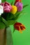 Bouquet of tulips. Flower delivery. Green background . Tulip.