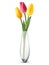 Bouquet of tulips in a glass vase on a white.