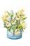 Bouquet of tulips and mimosa, spring flowers in a packing box. Hand drawn watercolor illustration close up isolated on