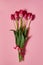 Bouquet of tulips on pink pastel background, copy space. Spring minimal concept. Womens Day, Mothers Day, Valentines Day, Easter