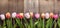 Bouquet of tulips of spring flowers on old wooden board on holiday of Easter