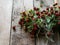 A bouquet of twigs of ripe wild strawberries with leaves on rustic wood background. copy space, selective focus