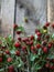 A bouquet of twigs of ripe wild strawberries with leaves on rustic wood background. copy space, selective focus