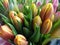 bouquet of unopened tulips, flower sale in a flower shop