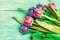 A bouquet of unusual multicolored tulips on old wooden boards