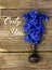 Bouquet of very bright and colorful blue delphinium flowers in a little clay vase on the rustic wooden shabby worn background