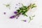 Bouquet violet aroma lavender flowers on white marble background