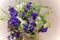 Bouquet of violet flowers close up. Blurred light background