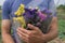 Bouquet of violet, yellow, pink and white statis in the man`s hands