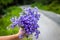 Bouquet of violets wildflowers