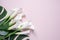 Bouquet  of White calla lilies and monstera leafs on pink background with copy space, top view