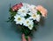 Bouquet with white Daisy flowers close at hand on a green background