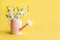 Bouquet white flowers blooming fruit tree in decorative watering can with on yellow. Gardening spring concept