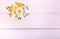 A bouquet of white flowers cosmea or cosmos with ribbon on white boards. Garden yellow flowers over handmade wooden