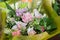 Bouquet of white flowers roses, lilies, gypsophila, orchids in the shop. Retail street sale near metro station for