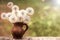 A bouquet of white fluffy dandelions in a brown clay jug against a background of juicy greenery on a sunny spring day.