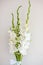 Bouquet of white gladioli. Whiteness delicate gladiolus flowers. Close up on white background