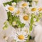 Bouquet of white gladioli. Whiteness delicate gladiolus flowers. Close-up, white background