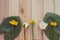 Bouquet of white lotuses and yellow water lilies on a wooden background