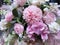 The bouquet of white mixed pink flower as a background