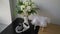 A bouquet of white peony flowers and woman shoes on a chair.