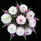 Bouquet of white, pink dahlia and gypsophila isolated on black background