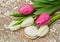 Bouquet of white and pink live tulips with biscuits on background