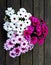 Bouquet of white pink and purple spanish daisies on wooden background