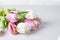 Bouquet of white and pink tulips on a white background. Spring mood, blossoming flowers for romantic, love atmosphere